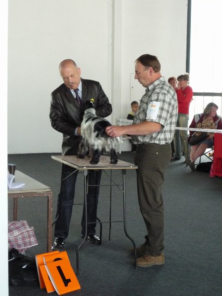 Litomerice 2009 044.jpg